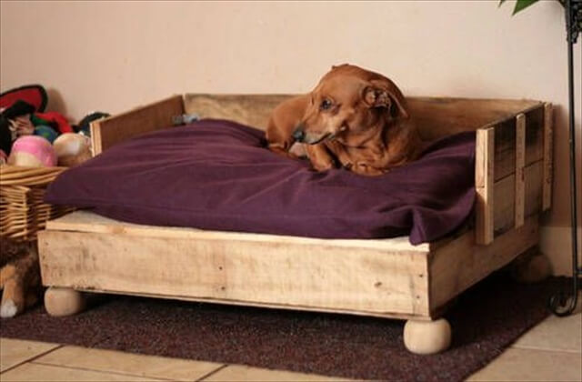 wooden dog beds