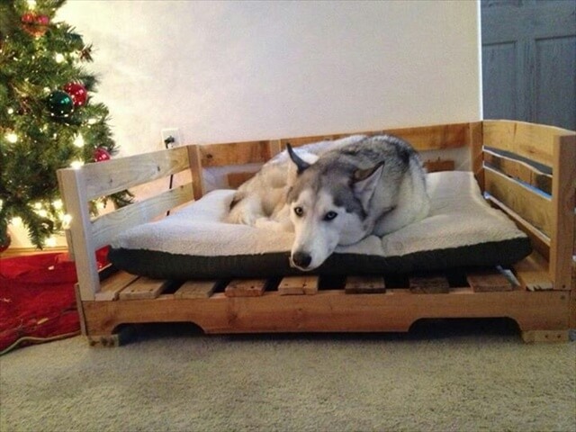Dog Bed out of Recycled Wooden Pallets  101 Pallets
