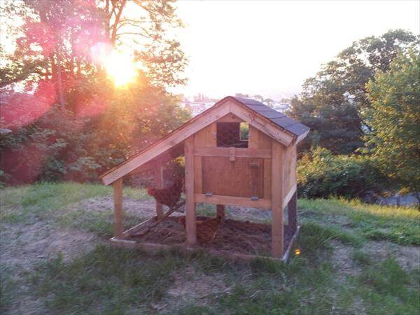 DIY Pallet Chicken Coop with Chicken Wire | 101 Pallets
